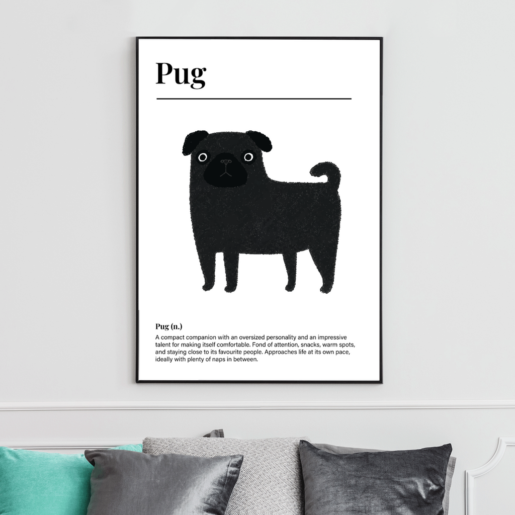 Black Pug Definition Post