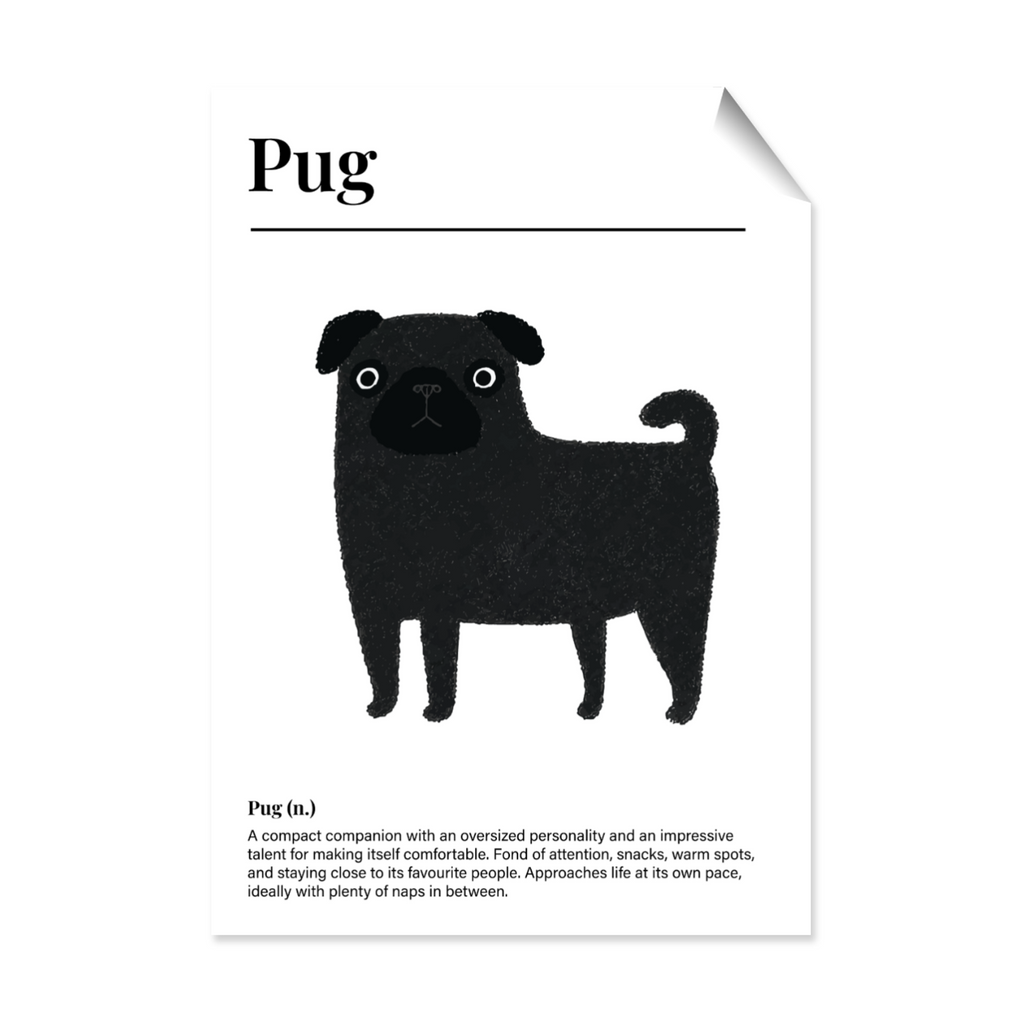 Black Pug Definition Post